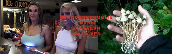 гашик Дмитров
