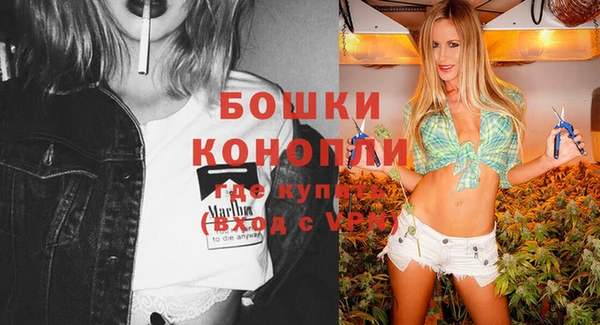 гашик Дмитриев