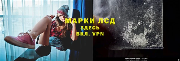 гашик Дмитриев