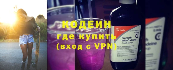 гашик Дмитров