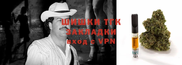 гашик Дмитриев