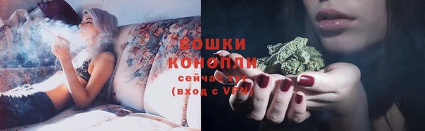 гашик Дмитров
