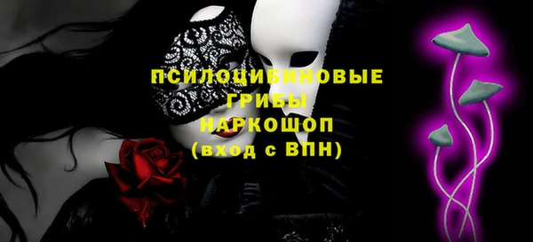 гашик Дмитриев