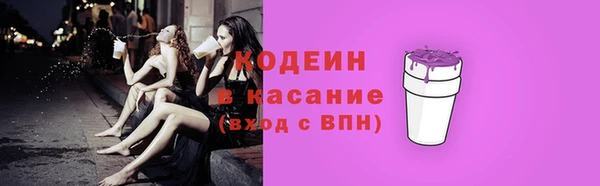 гашик Дмитров