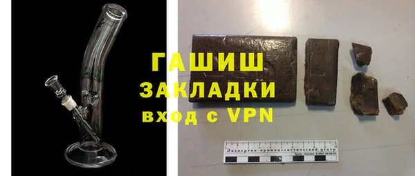 гашик Дмитров