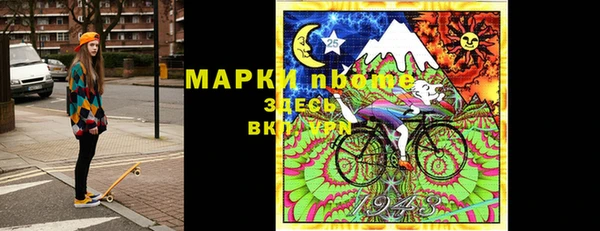 гашик Дмитров