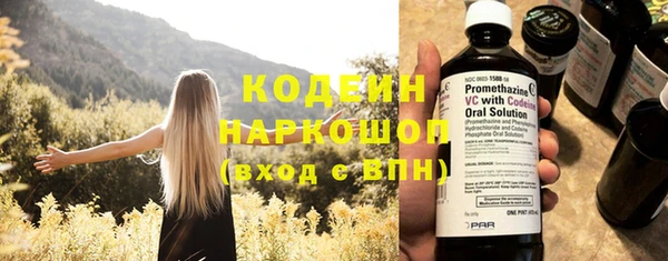 гашик Дмитров
