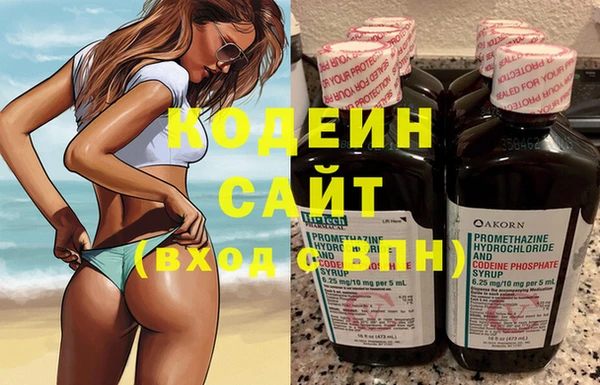 гашик Дмитров