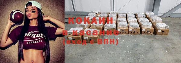 гашик Дмитриев