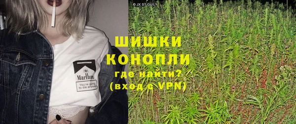 гашик Дмитриев