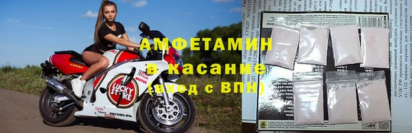 гашик Дмитриев