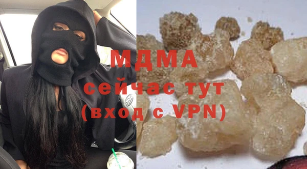 гашик Дмитров