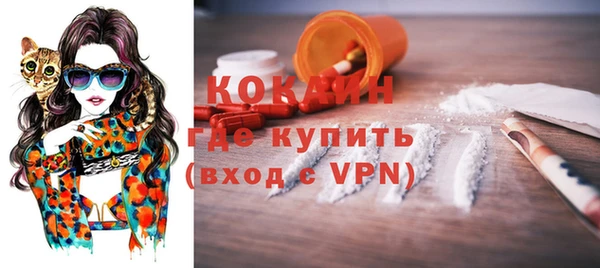 гашик Дмитриев
