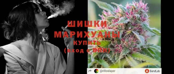 гашик Дмитриев