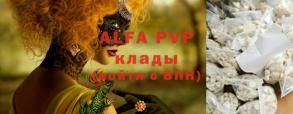 гашик Дмитриев